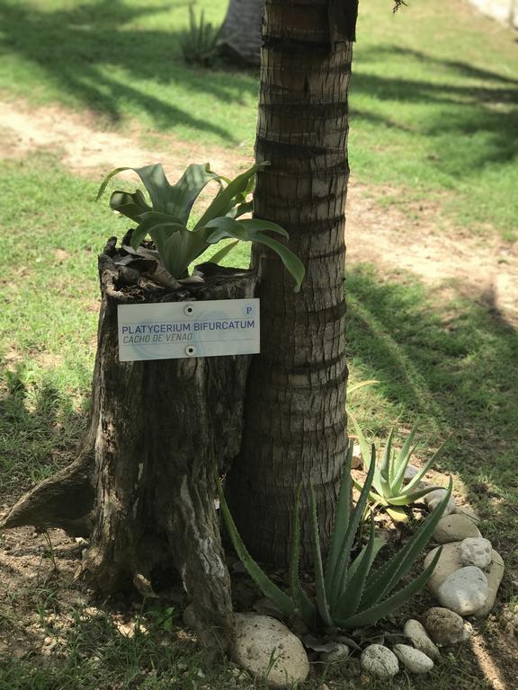 Hotel Pradomar Barranquilla  Dış mekan fotoğraf